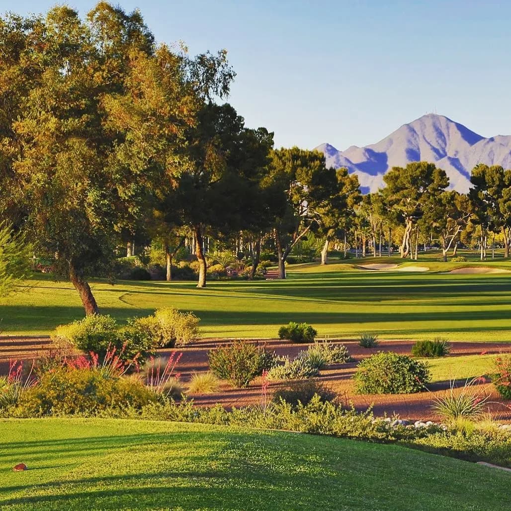 McCormick Ranch Golf Club - Pine - Photo 7